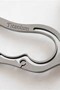 Image result for Titanium Carabiner