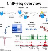 Image result for Chip Crittermatic