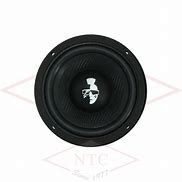 Image result for 3 Inch Mid-Range PA Speaker