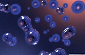 Image result for Cell Biology Background