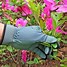 Image result for Buds Gardening Gloves