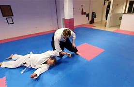 Image result for Aikido Hand Pose