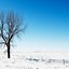 Image result for Winter iPhone Wallpaper
