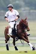 Image result for Prince Harry Polo Images