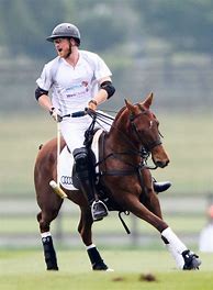 Image result for Prince Harry Polo