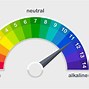 Image result for Ph Meter Parts