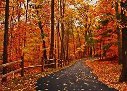 Image result for Fall Scenes