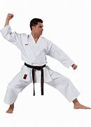Image result for Basic Karate Moves