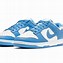 Image result for UNC Dunks Shoes