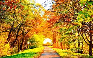 Image result for Autumn Colors