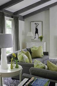 Image result for Green and Grey Living Room Ideas