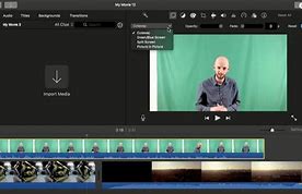 Image result for Greenscreen Software for Photos MA