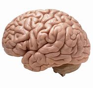 Image result for Super Human Brain