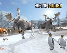 Image result for Moose Game