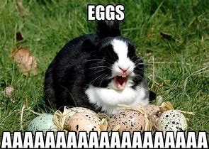 Image result for Happy Easter Meme Jesus