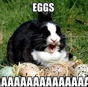 Image result for Easter Jesus Funny