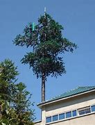 Image result for 24M Monopole Tree Tower