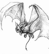 Image result for Bat Creature Art