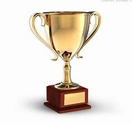 Image result for Gold Cup Trophies