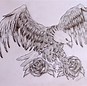 Image result for Native Eagle Drawings to Use for Decals