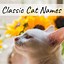 Image result for Interesting Cat Names