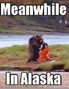 Image result for Alaska Pilot Meme