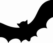 Image result for Single Bat Transparent