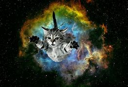 Image result for Galaxy Space Cat