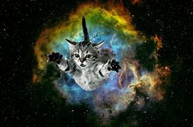 Image result for Fire Galaxy Cat Art