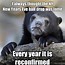 Image result for New Year's Eve Meme Cute
