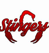 Image result for stingers