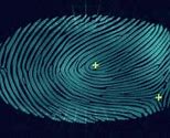 Image result for Fingerprint Reader Simulator