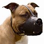 Image result for Dog Muzzle for Pitbull