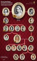 Image result for Cinderheart Family Tree