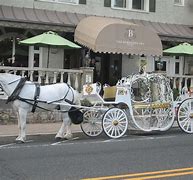 Image result for Dahlonega Cinderella Horse Carriage