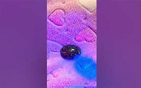 Image result for iPhone XS Color Shift