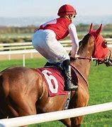 Image result for Horse Racing Calendar 2023