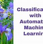 Image result for Data Classification Model