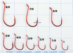 Image result for Best Double Fish Hook Clips
