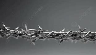 Image result for Barbed Wire Border Clip Art