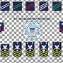 Image result for Coast Guard Ranks and Insignia