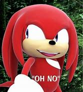 Image result for Knuckles Meme PFP