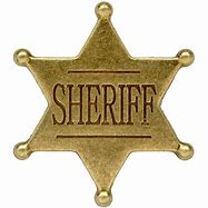 Image result for sherriff badge