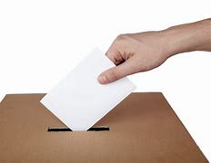 Image result for voto