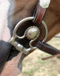 Image result for Western Bridle with Snaffle Bit