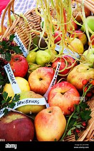 Image result for English Apple Varieties