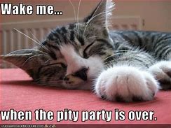 Image result for Pity Party Meme