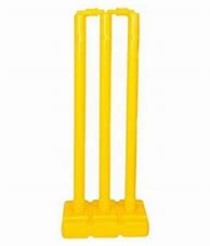 Image result for Plastic Wicket