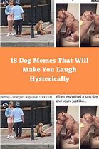 Image result for Hilarious Memes That Will Make You Laugh
