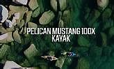 Image result for Pelican Mustang 100X